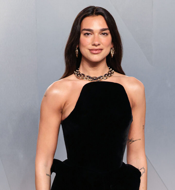 dua lipa august book club pick lost lambs