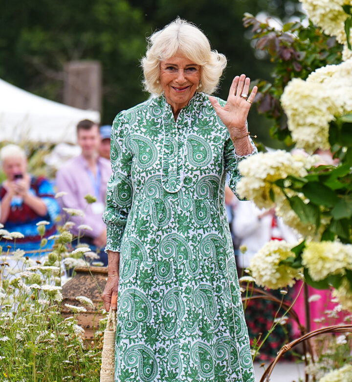 queen camilla tearful cancer confession