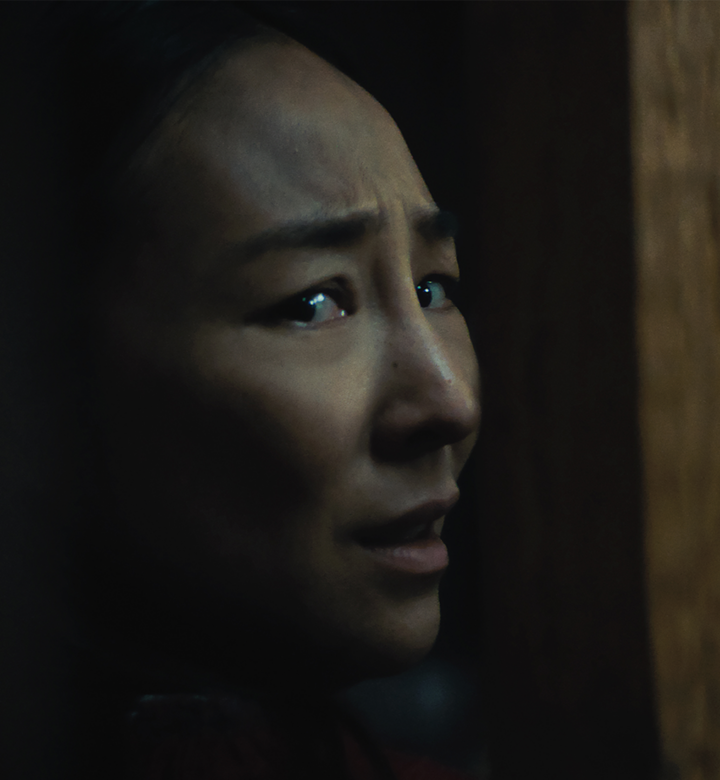 the last house netflix review