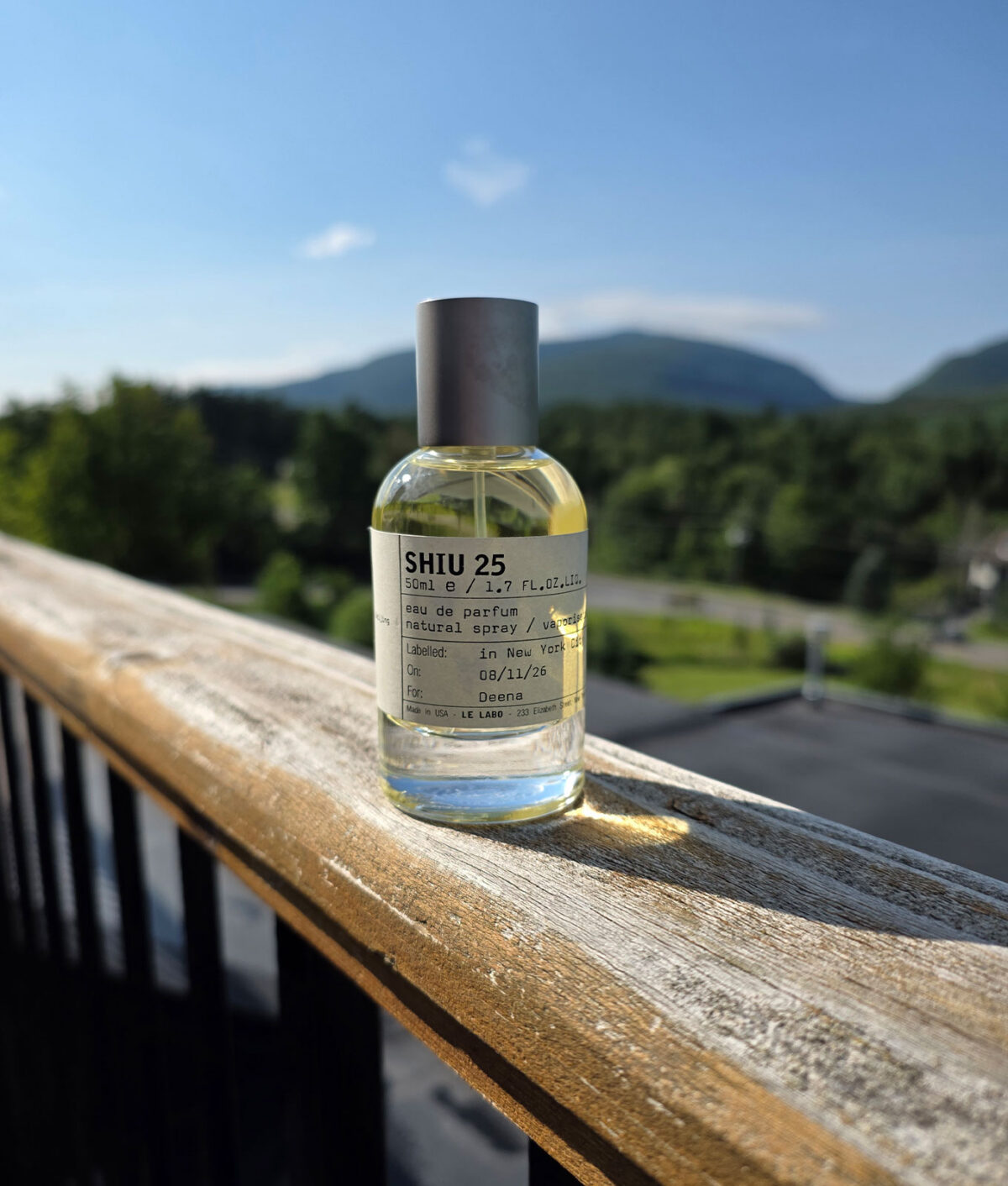 whats-deena-loving-august-sept-le-labo-shiu-25