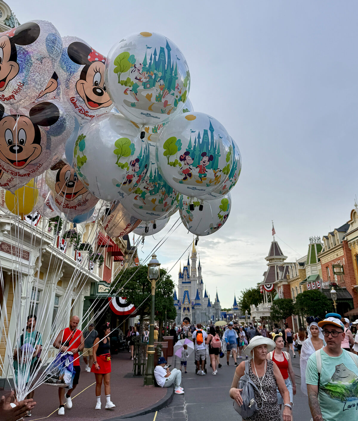 dvcr-disney-review-walt-disney-world
