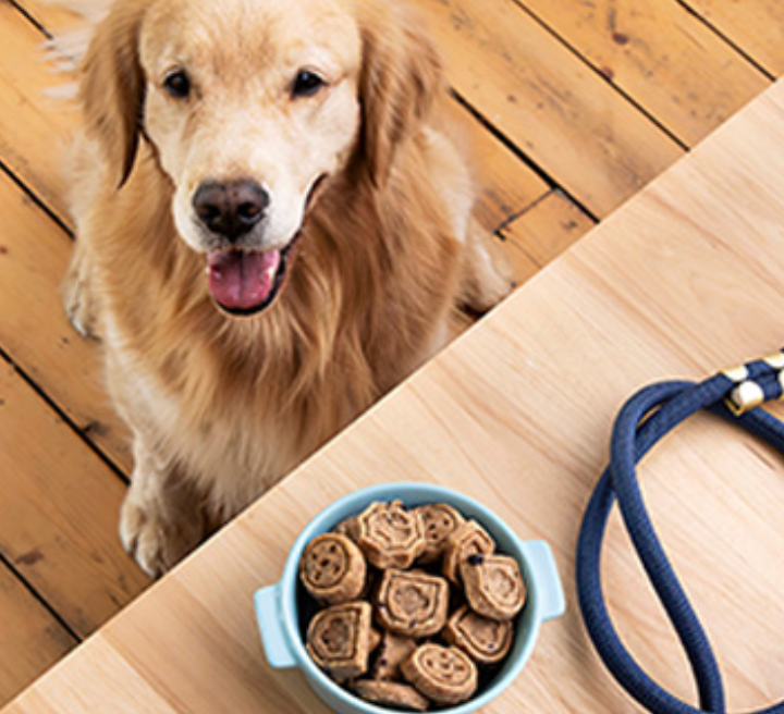 dog next to patch pals girl scout cookies for pets