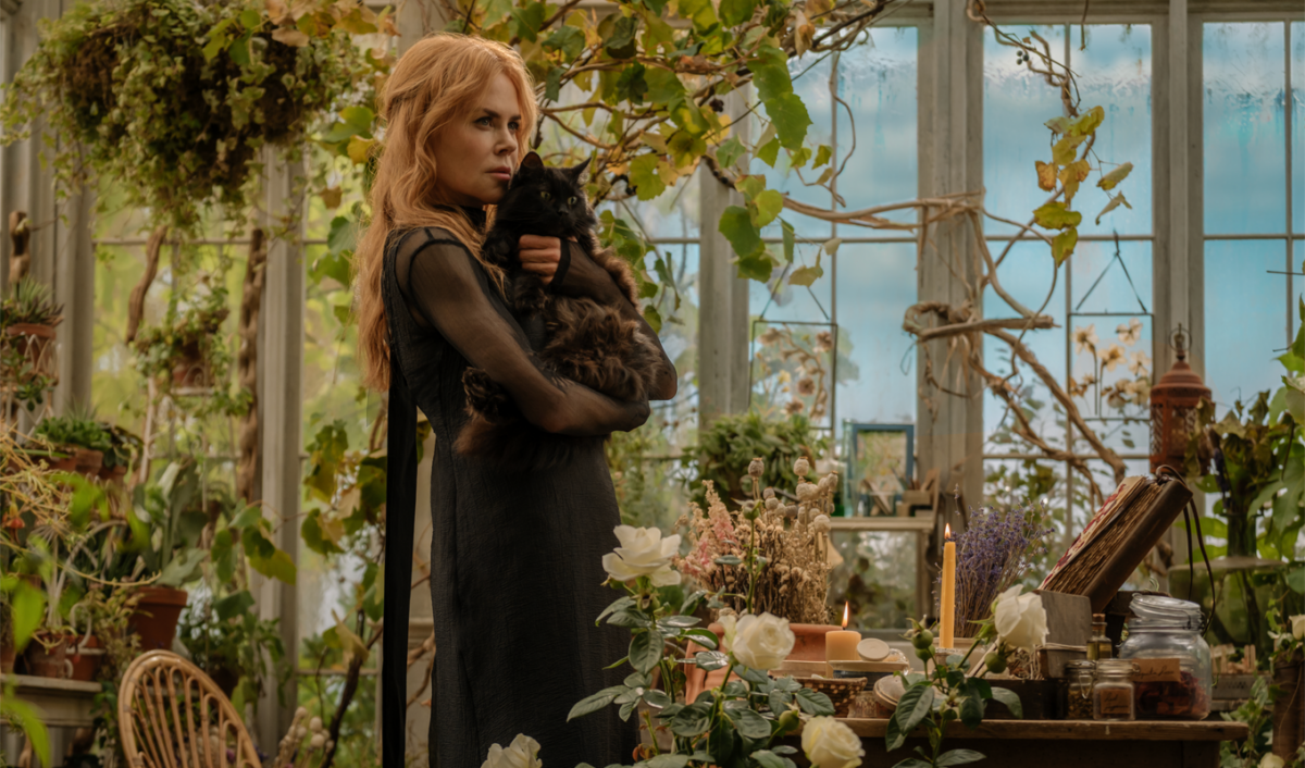 nicole kidman practical magic 2 cat 1200x706