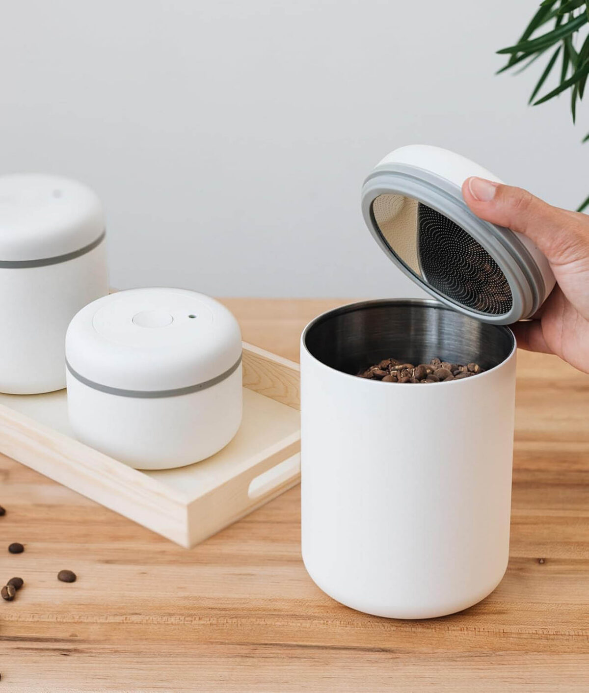 coffee bean storage containers
