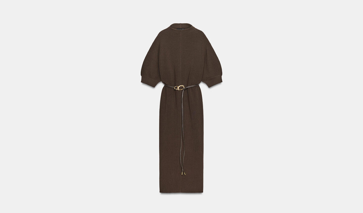 balloon sleeves trend fall 2026: Zara Knit Maxi Dress