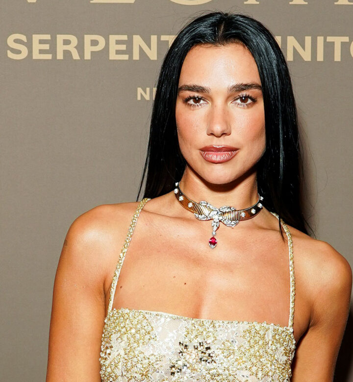 dua lipa october book club pick klara and the sun