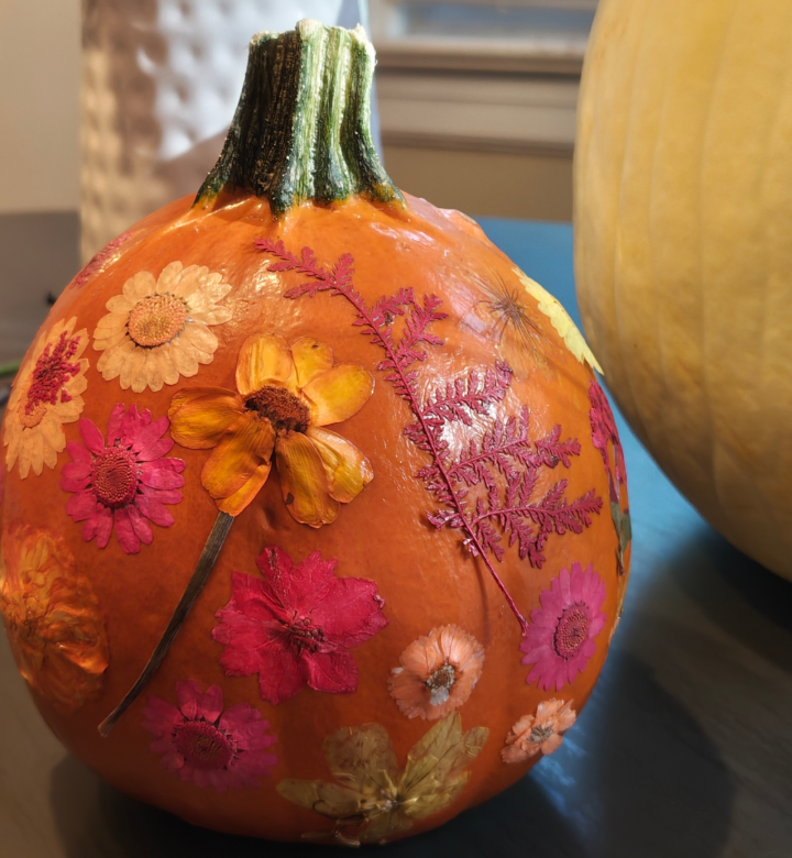 pressed flower pumpkins