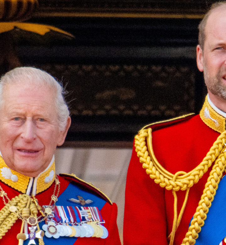 prince william king charles twin outfits