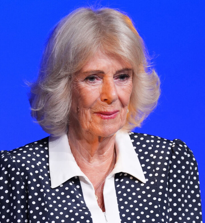 queen camilla leek brooch